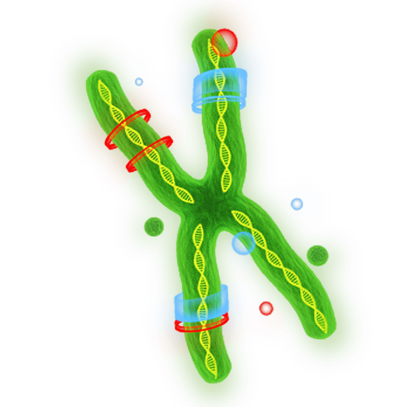 Gene Therapy Illustration